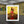 Harlem Rose – African American Art Canvas Print