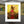 Harlem Rose – African American Art Canvas Print