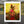 Harlem Rose – African American Art Canvas Print