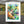 Rhythm in the Garden – Jazz Wall Art Canvas Print