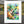 Rhythm in the Garden – Jazz Wall Art Canvas Print